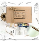 Diy Kit Melukis Pot